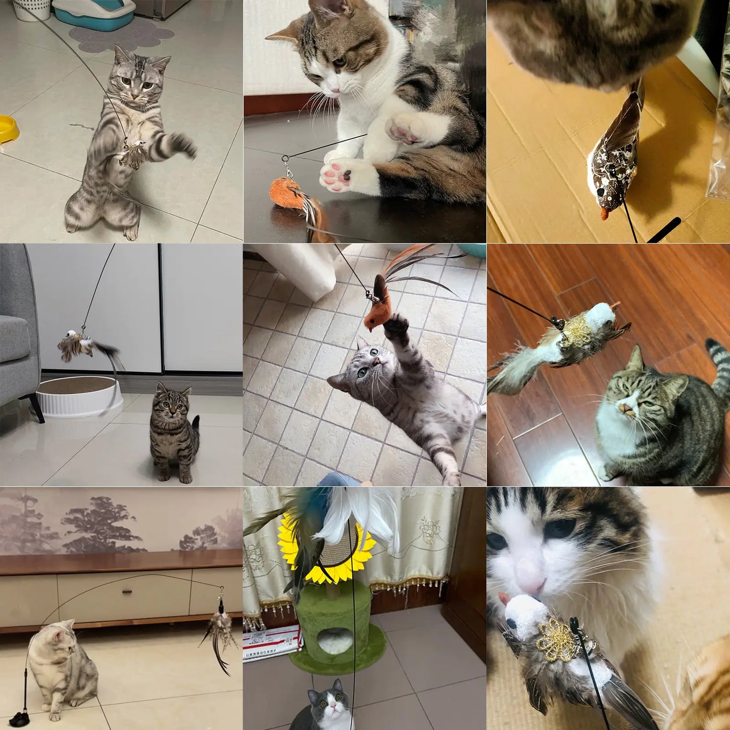 Catplay - Zeg Vaarwel Tegen Verveling