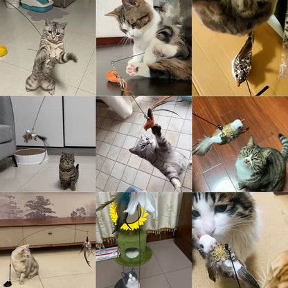 Catplay - Zeg Vaarwel Tegen Verveling