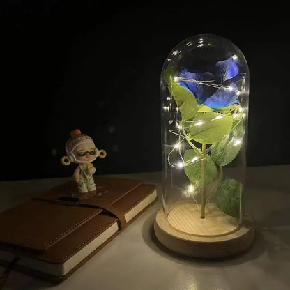 Bella Rosa - Eeuwige Roos